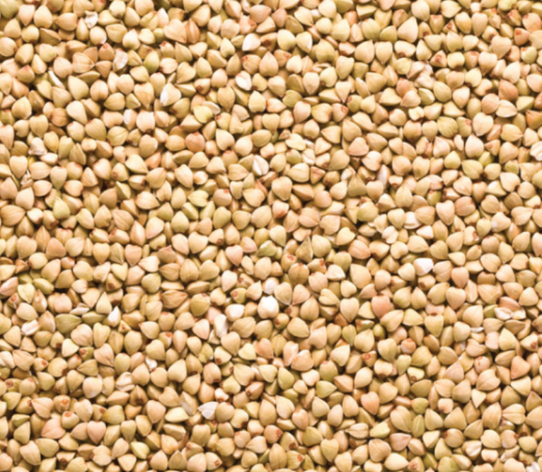ORGANIC ACTIVATED BUCKWHEAT KERNELS 1KG